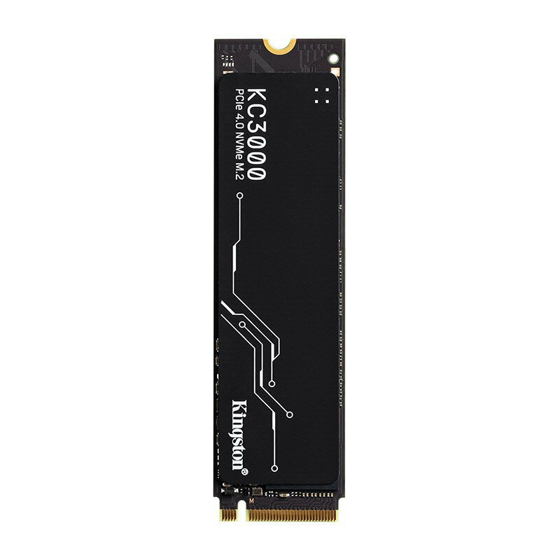 Твердотельный накопитель Kingston 1 ТБ M2 SKC3000S/1024G