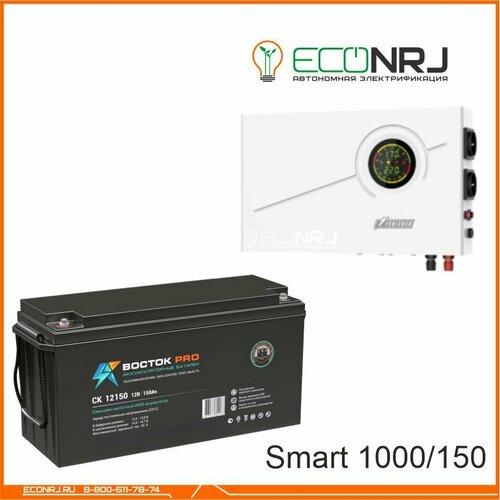 ИБП Powerman Smart 1000 INV + восток PRO СК-12150