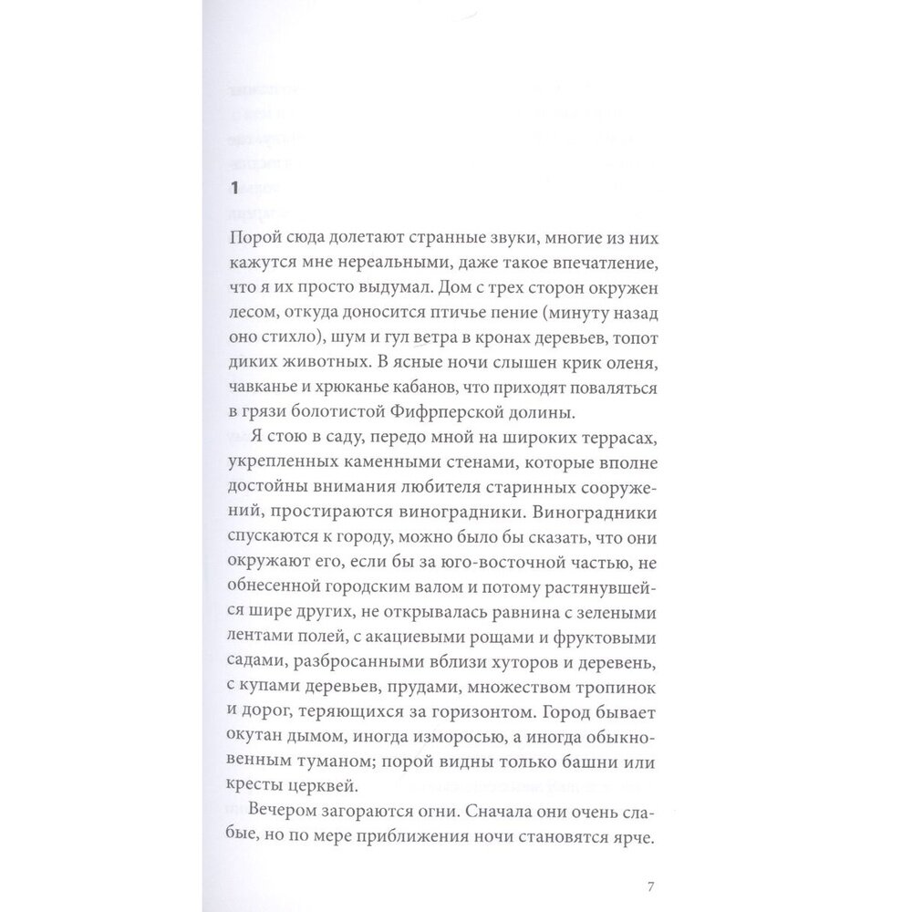 Орнамент (Винцент Шикула) - фото №5