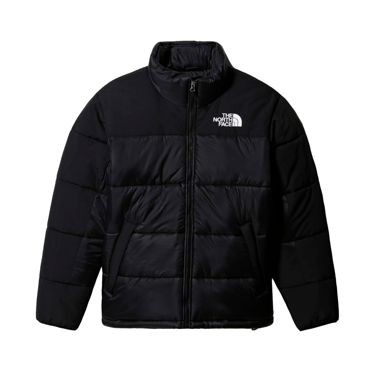 Куртка спортивная The North Face