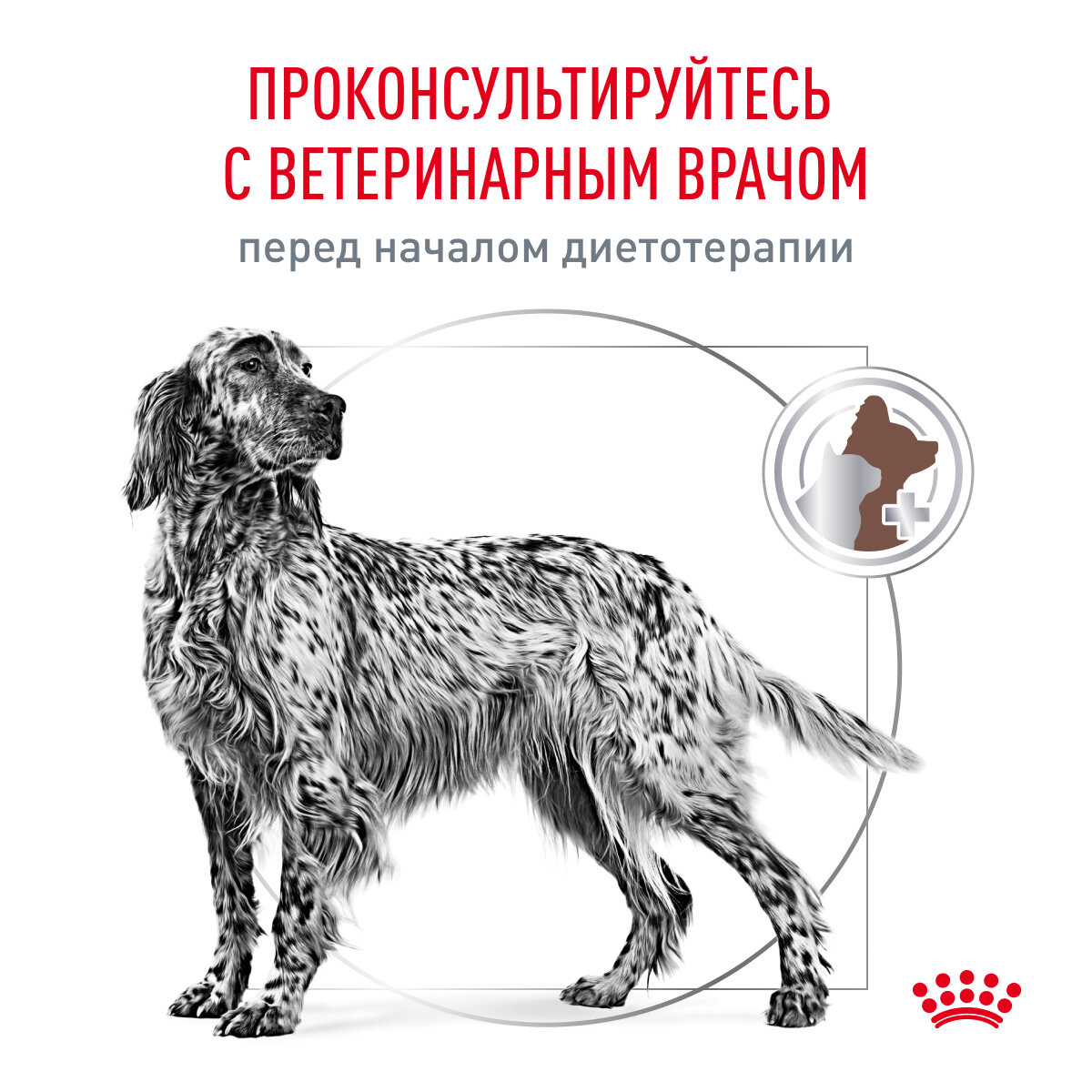 Сухой диетический корм Royal Canin Veterinary Diet Gastro Intestinal для взрослых собак при нарушениях пищеварения, 2кг - фото №8