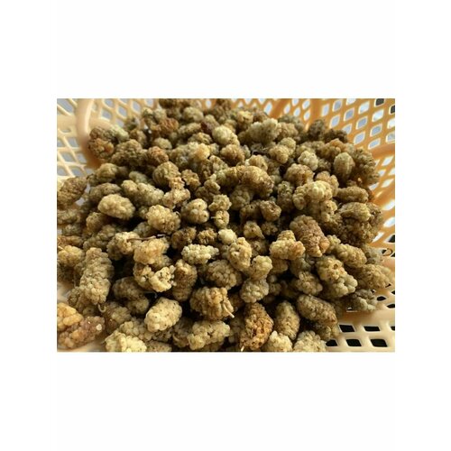 Шелковица для грызунов и птиц 100 г