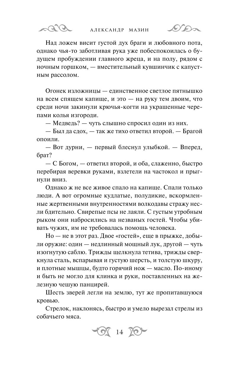 Варяг. Княжья русь (Мазин Александр Владимирович) - фото №14