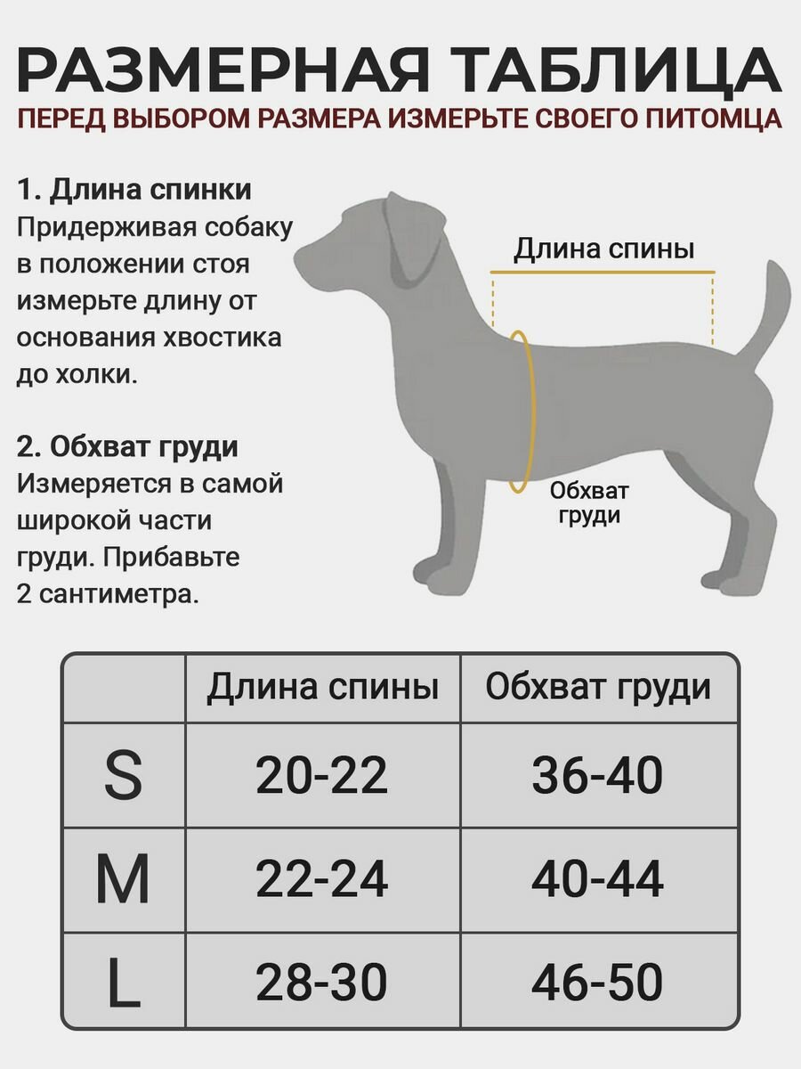 Кофта для собак мелких пород толстовка одежда для кошек M - фотография № 2