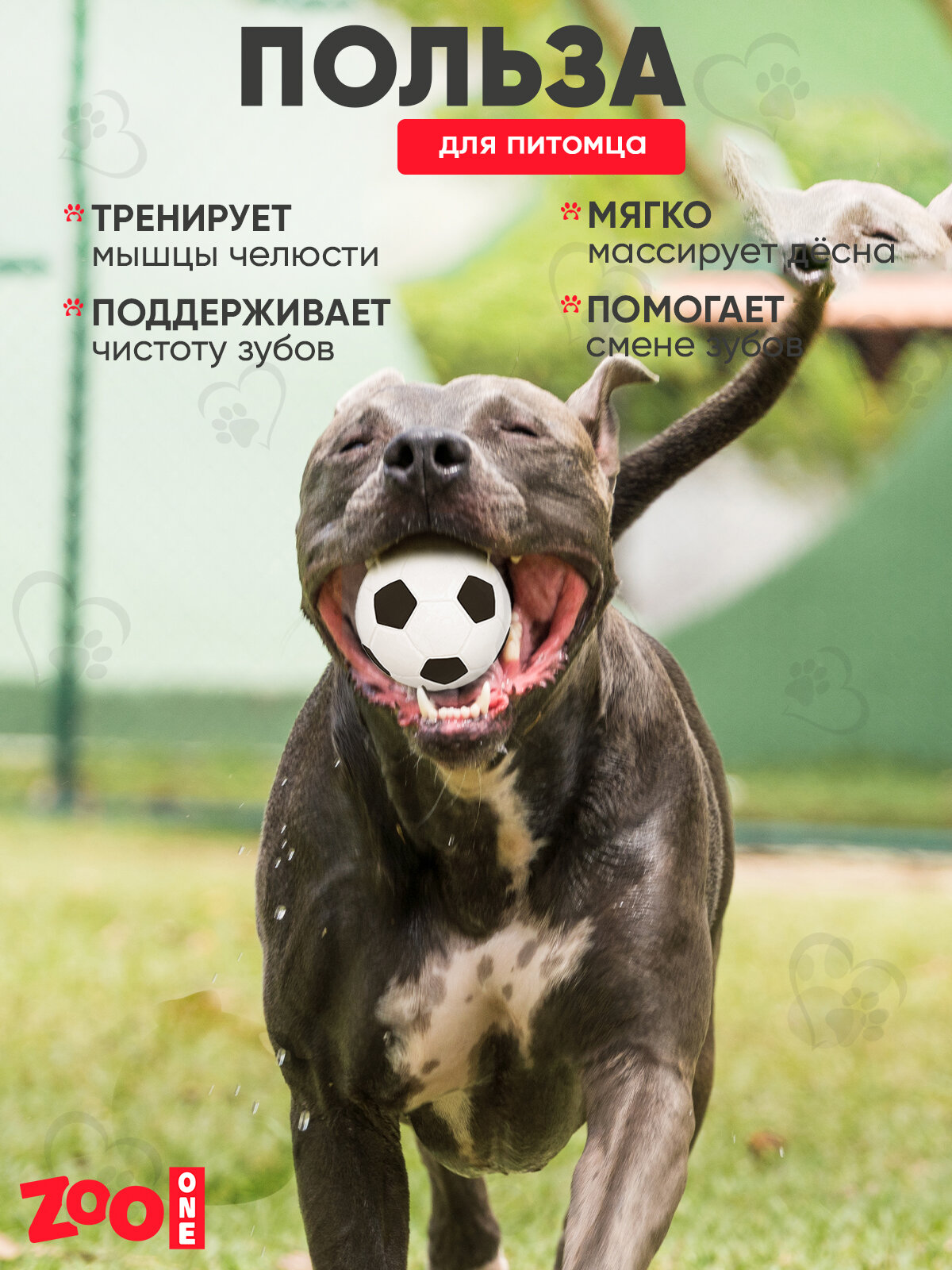 Игрушка для собак с пищалкой (мягкий латекс) Zoo One Футбольный мяч 7,5 см, L-434