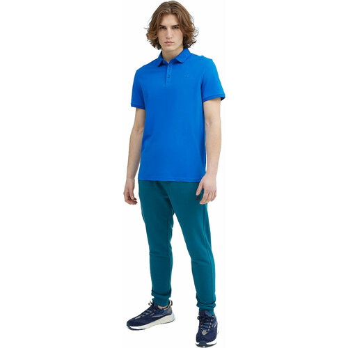 фото Брюки 4f, размер xxl, голубой