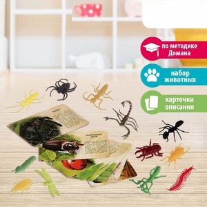 Обучающий набор "В мире насекомых", по методике Монтессори, с обучающими карточками, 12 животных, из пластика, для детей и малышей