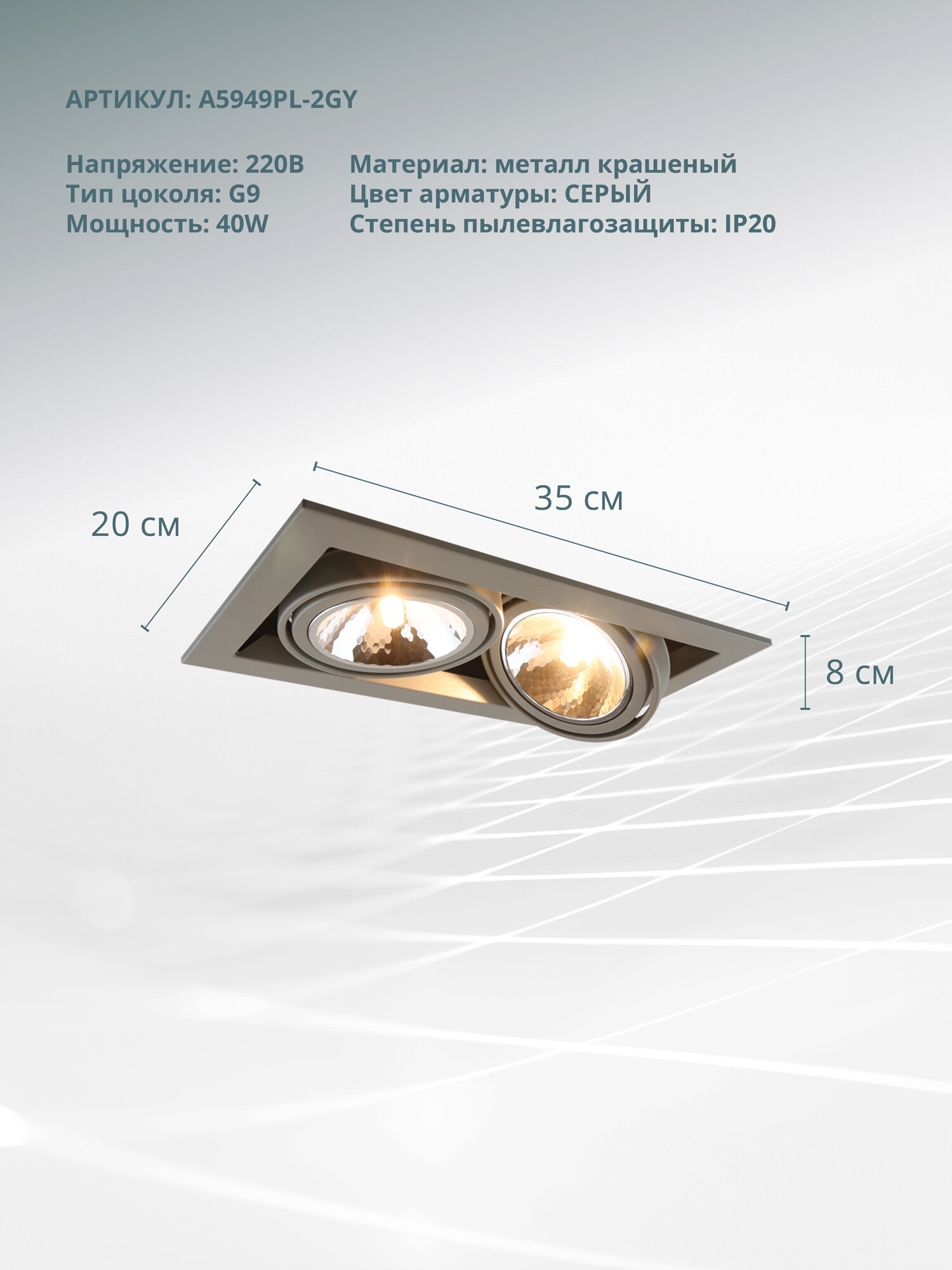 Светильник потолочный Arte Lamp A5949PL-2GY