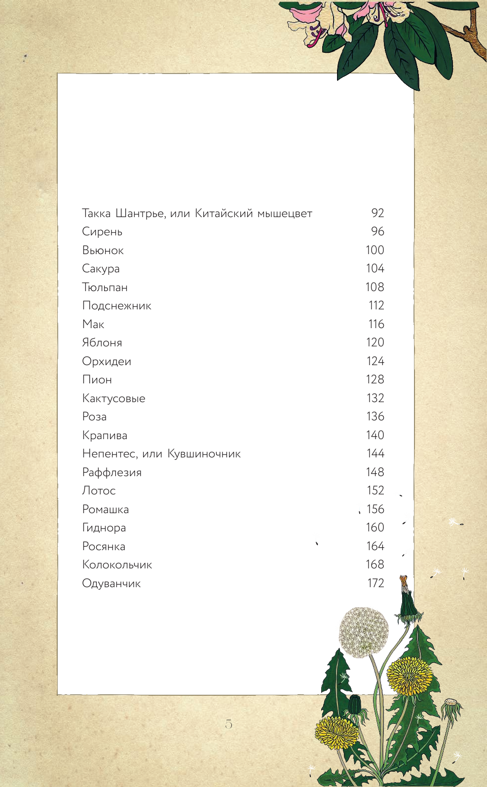 Тайны цветов Мифы сказки легенды Подарочная книга с цветными авторскими иллюстрациями - фото №5