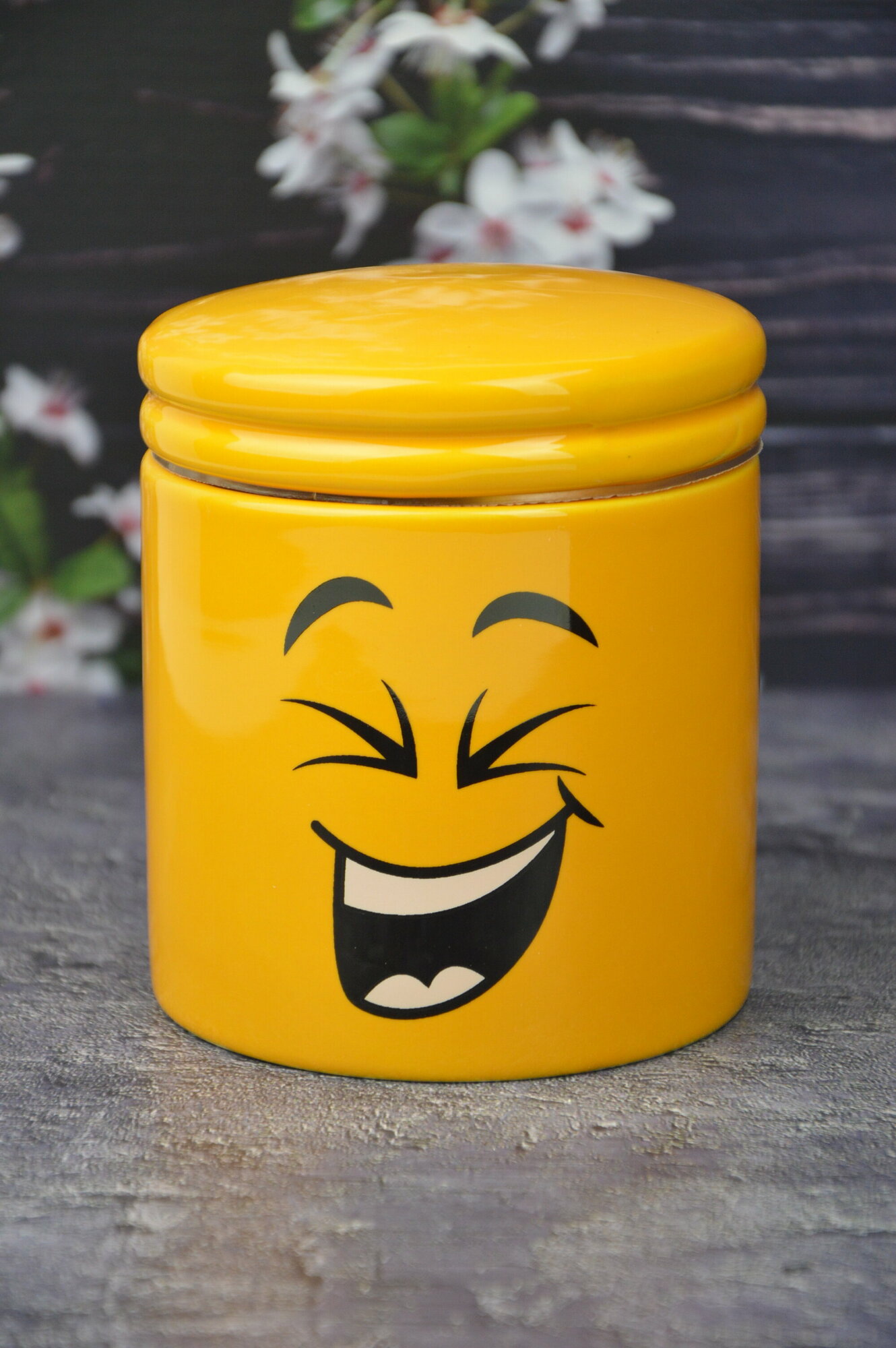 Банка для сыпучих продуктов "Smile" 480мл керамическая, подарочная упаковка