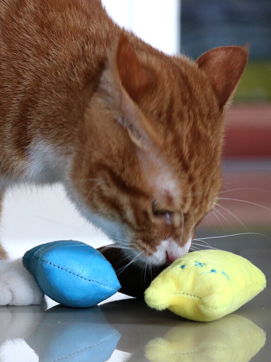 Игрушки для кошки собаки дразнилка с кошачьей мятой - фотография № 7