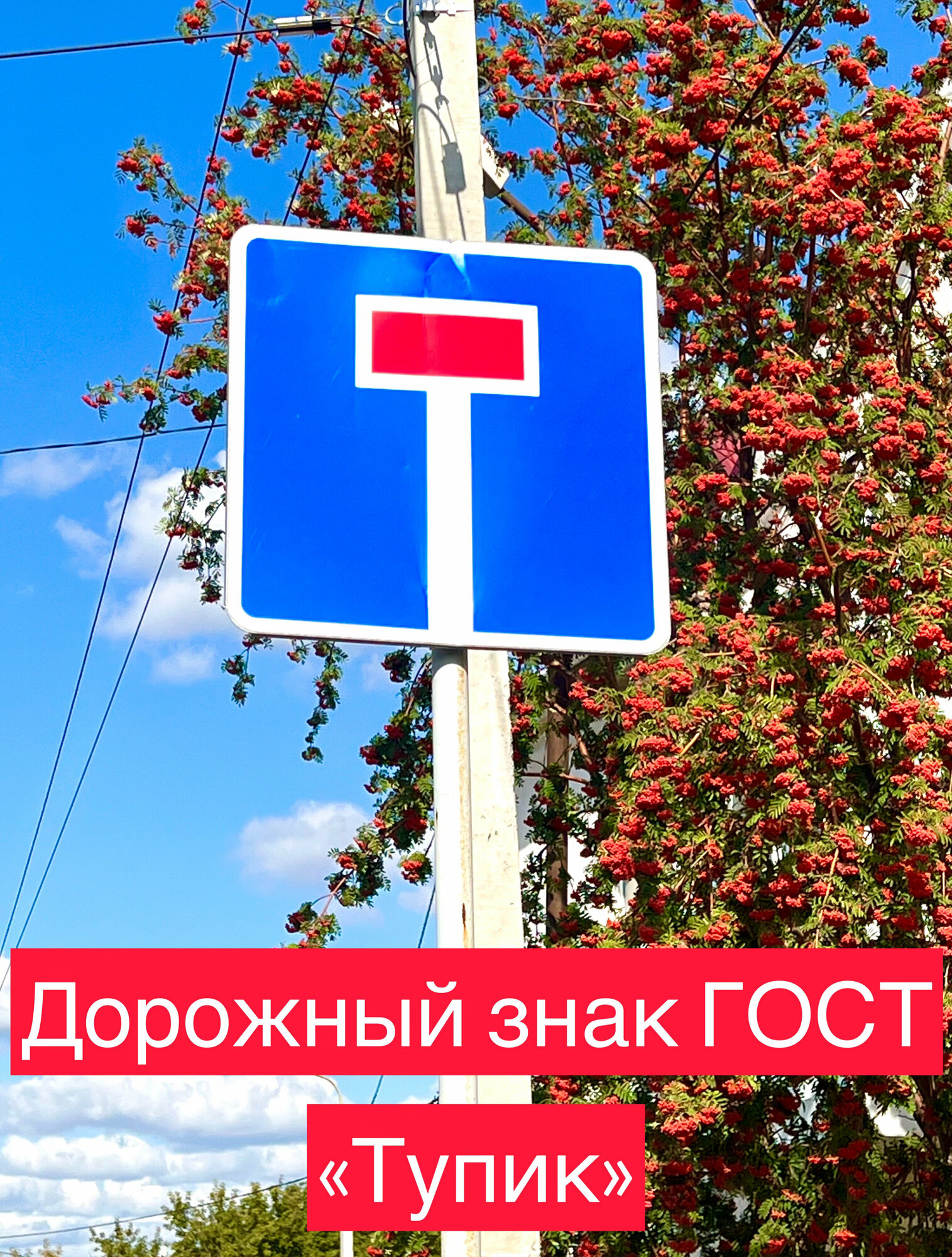 Таблички Информационные По Типу Установки Молниезащиты — Купить По.