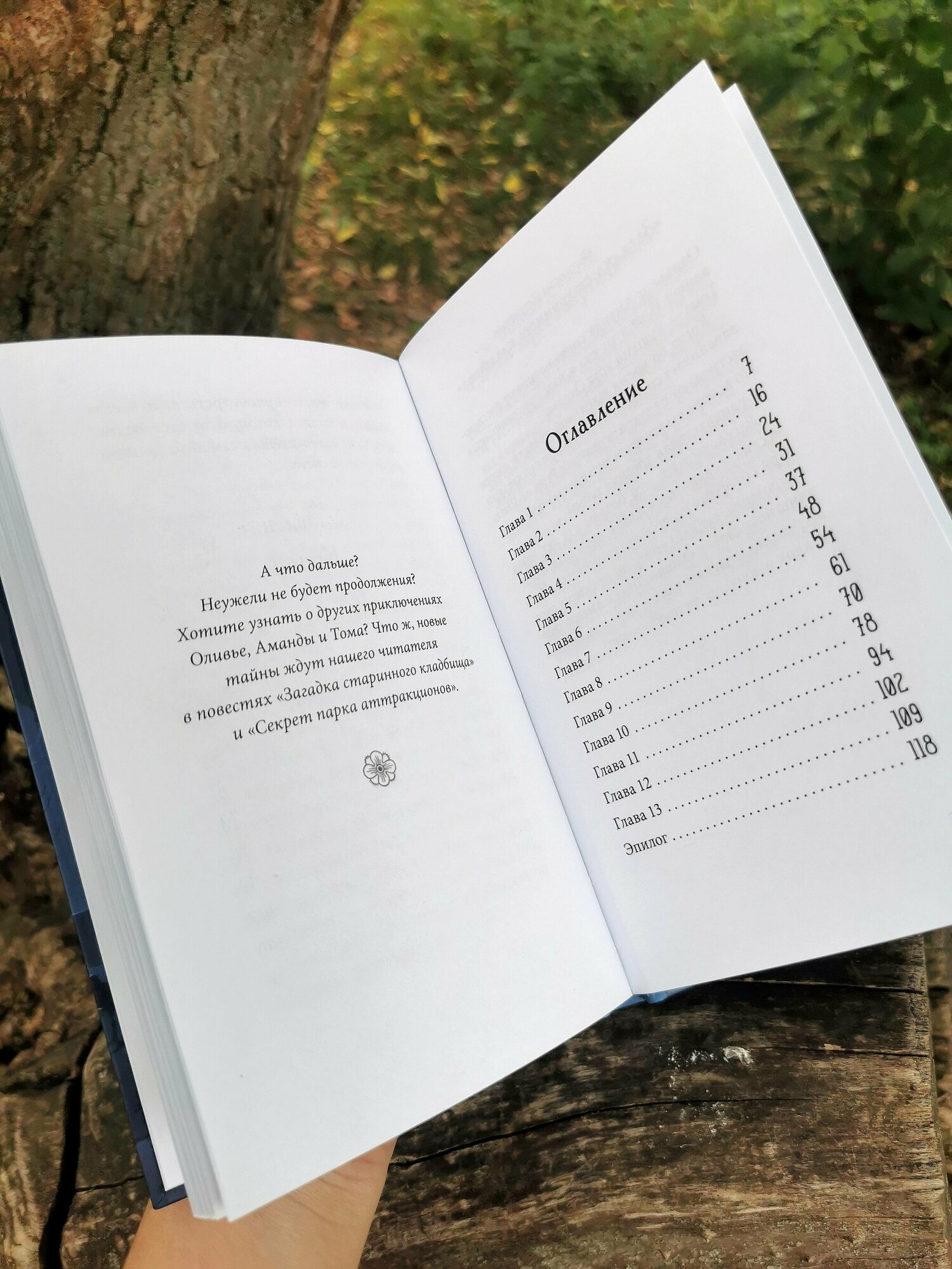 Тайна заброшенного дома (Флориан Дениссон, Марианна Кожевникова, переводчик, Юлия Широнина, иллюстратор) - фото №6