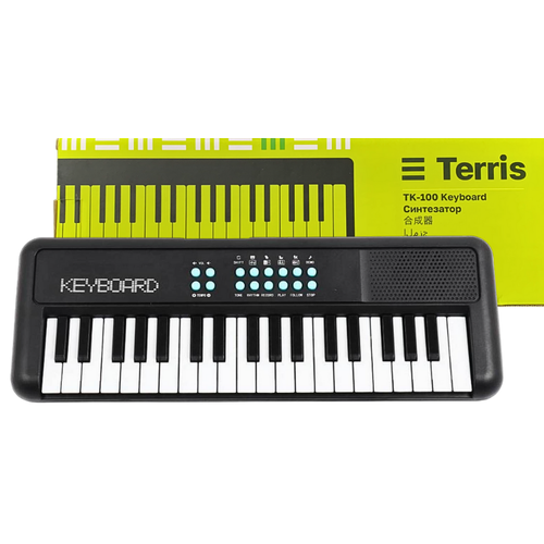 Детский синтезатор Terris TK-100 BK