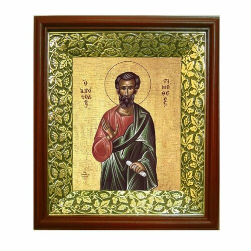 Икона Апостол Тимофей (21*24 см), арт СТ-09103-2