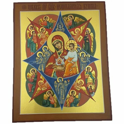 Икона Божией Матери Неопалимая Купина рукописная, арт ИР-579