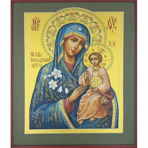 Икона Божией Матери Неувядаемый Цвет 16 на 20 см рукописная, арт ИРГ-576