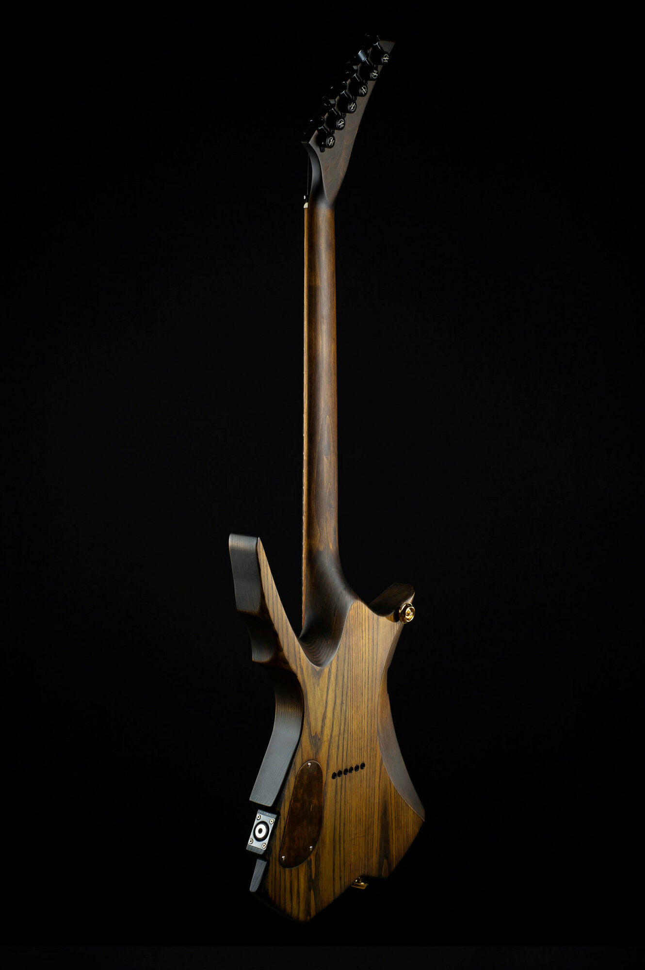 Электрогитара RUSICH GUITARS Celt