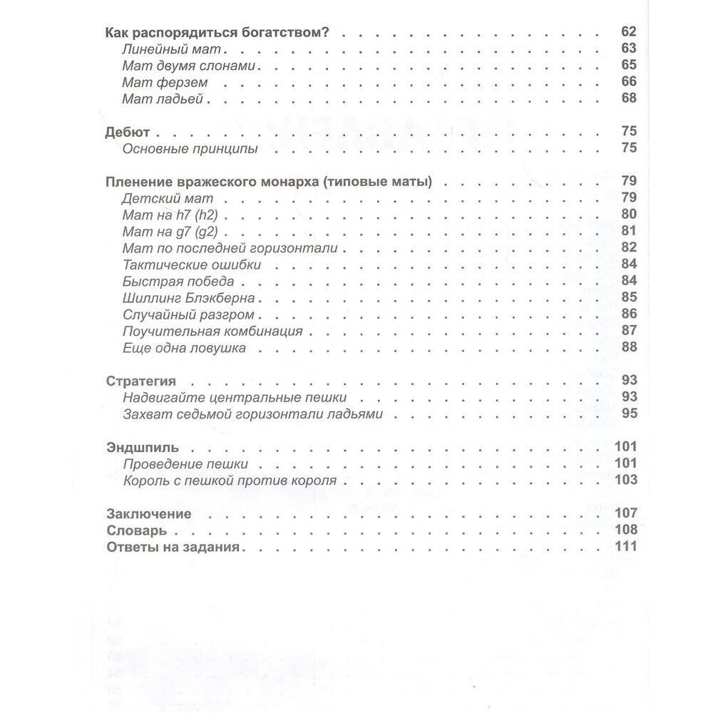 Шахматная грамматика для детей и их родителей - фото №8
