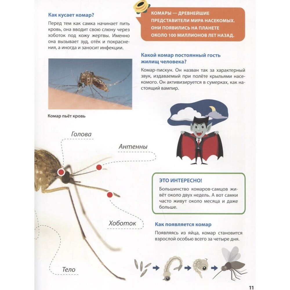 Всё о насекомых малышам (Ктиторова Екатерина (редактор)) - фото №6
