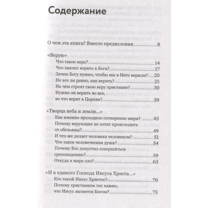 Смысл христианской веры. Ответы на вопросы ума и сердца - фото №2