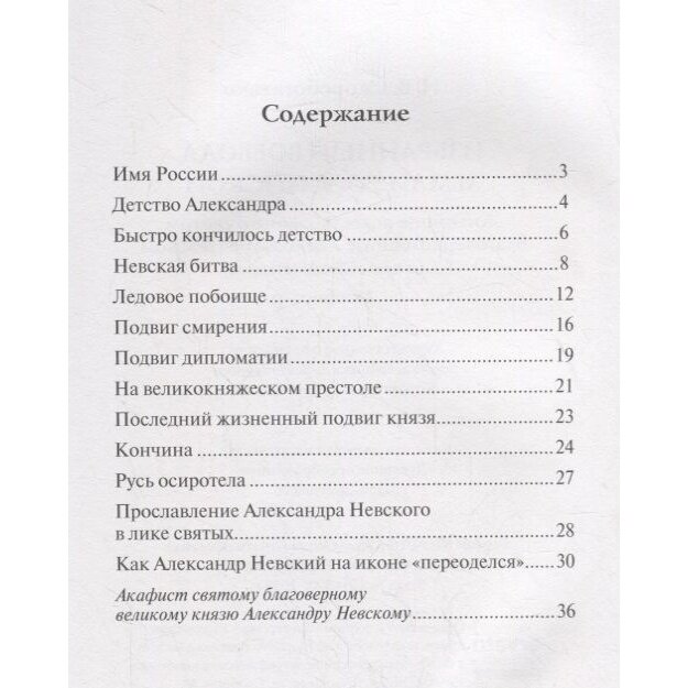 Избранный воевода земли Российской. Житийное повествование о святом бл. кн. Александре Невском - фото №9