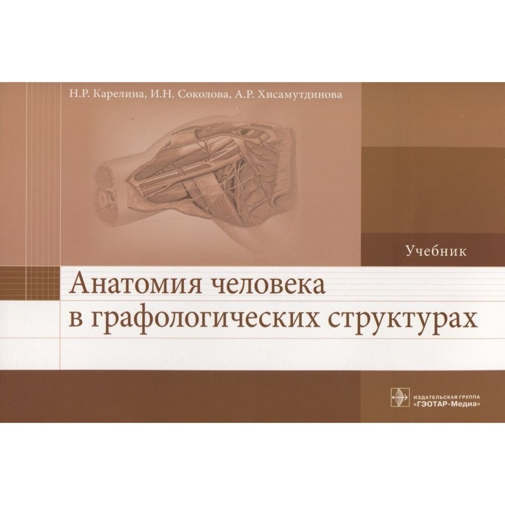 Анатомия человека в графологических структурах - фото №3