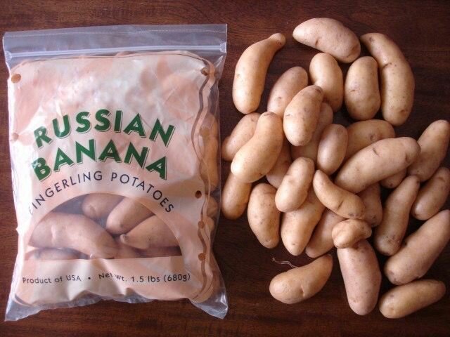 Картофель семенной сорт банан (RUSSIAN BANANA), 1кг, ур. 2023, Суперэлита - фотография № 3
