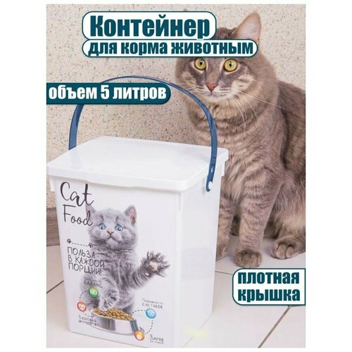 Контейнер пластиковый для корма кошки 5 л контейнер для кошачьего корма полимербыт кошки 5 л