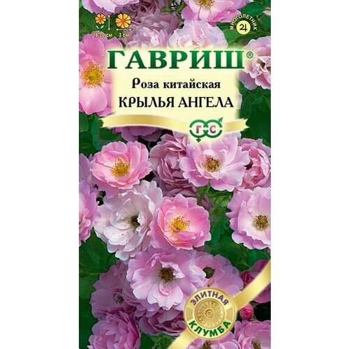 Роза китайская Крылья ангела 5шт серия Элитная клумба семена роза китайская крылья ангела