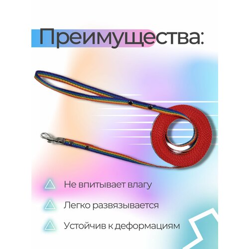 Поводок Хвостатыч для собак нейлоновый классический 2 м х 10 мм (радуга) поводок хвостатыч для собак нейлоновый классический 2 м х 10 мм фиолетовый