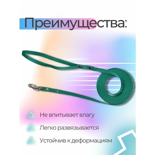 Поводок Хвостатыч для собак нейлоновый классический 3 м х 10 мм (бирюзовый)