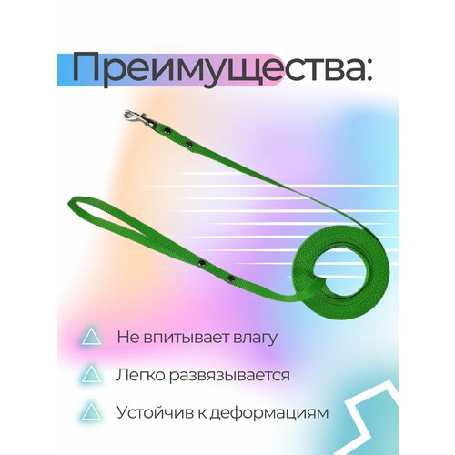 Поводок Хвостатыч для собак нейлоновый классический 1,5 м х 10 мм (салатовый)