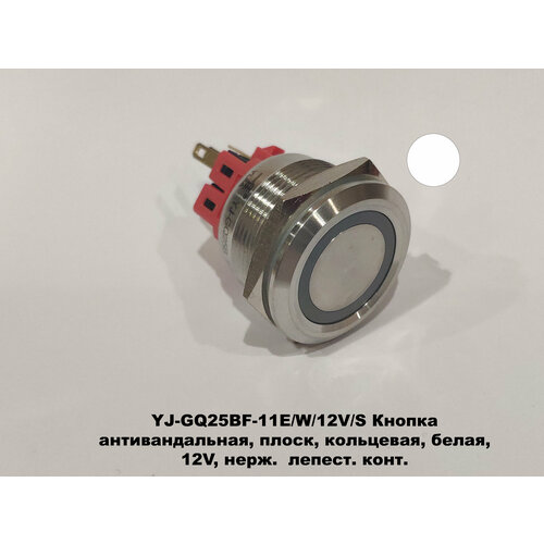 YJ-GQ25BF-11E/W/12V/S Кнопка антивандальная 25 мм, плоск, кольцевая, белая, 12V, нерж. лепест. конт.