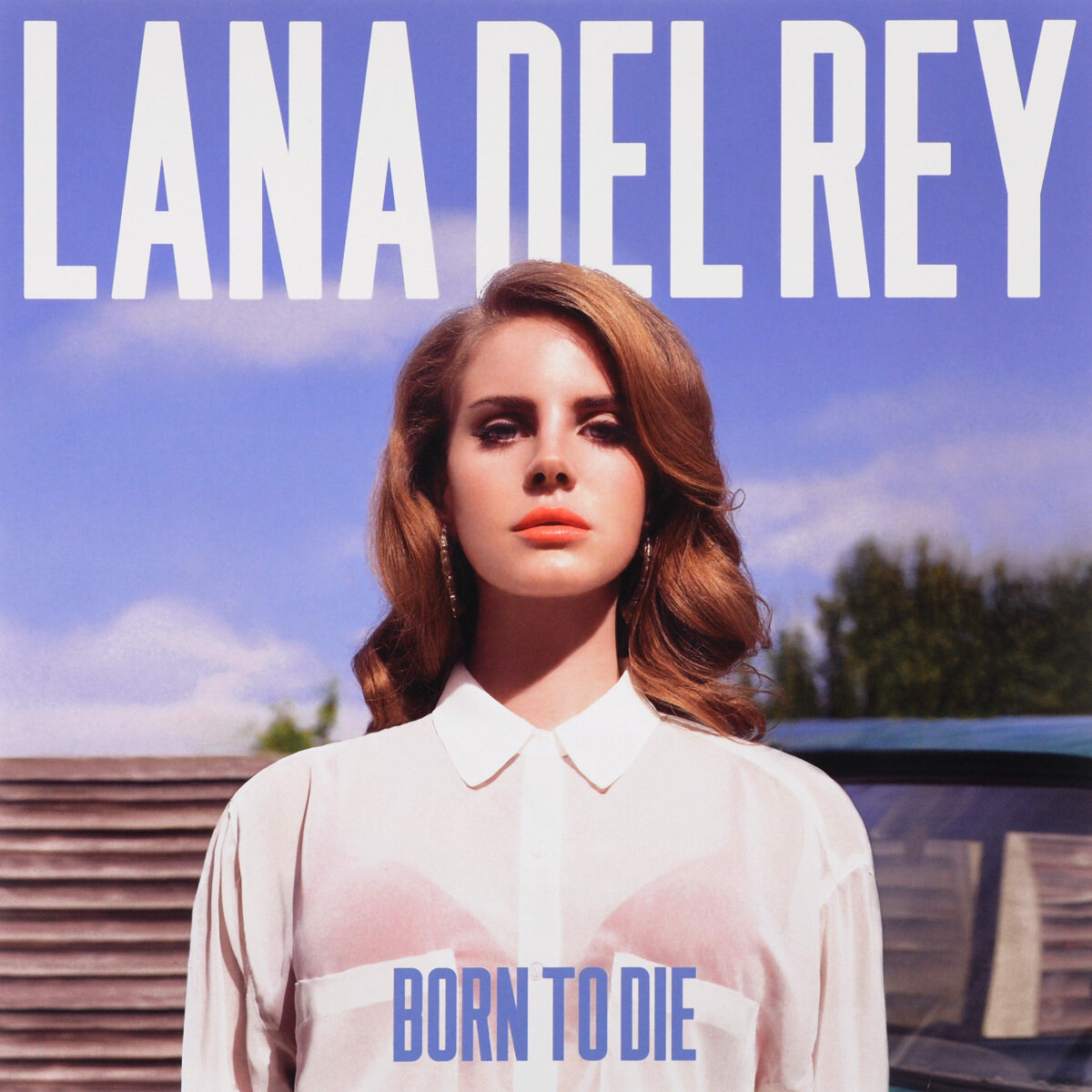 Виниловая пластинка Lana Del Rey (2012) Born To Die (LP)