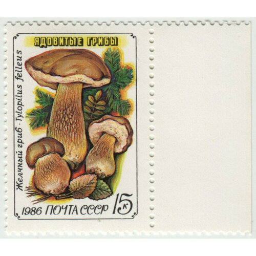 Марка Желчный гриб. 1986 г. Поле. марка бледная поганка 1986 г поле