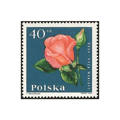 (1964-085) Марка Польша Роза Садовые цветы II Θ
