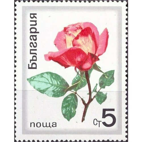 (1970-032) Марка Болгария Гибридная роза Розы I Θ 1970 033 марка болгария роза с бутонами розы i θ
