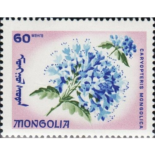 (1966-031) Марка Монголия Кариоптерис Эндемические цветы III O