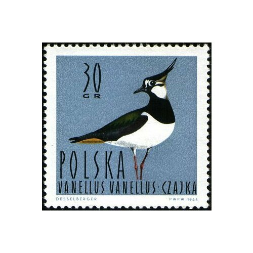 (1964-033) Марка Польша Чибис (Пигалица) , III Θ 1956 033 марка польша бокс iii θ