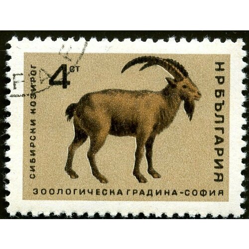 (1966-032) Марка Болгария Сибирский горный козёл Софийский зоопарк II Θ 1966 029 марка болгария индийский слон софийский зоопарк ii o