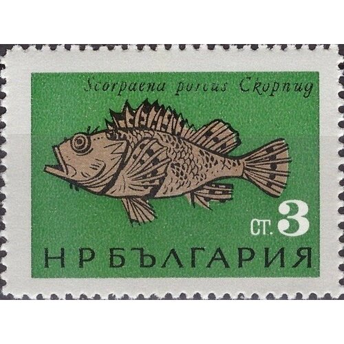 (1965-036) Марка Болгария Скорпена (морской ёрш) Рыбы Чёрного моря III Θ