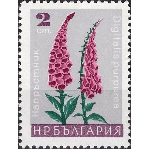 (1966-096) Марка Болгария Наперстянка пурпурная Садовые цветы II Θ
