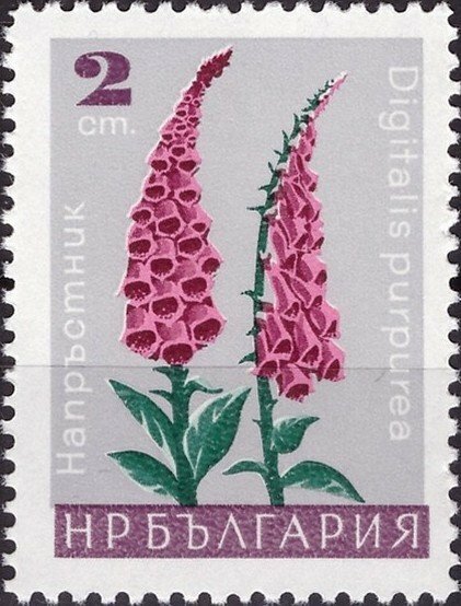 (1966-096) Марка Болгария "Наперстянка пурпурная" Садовые цветы II Θ