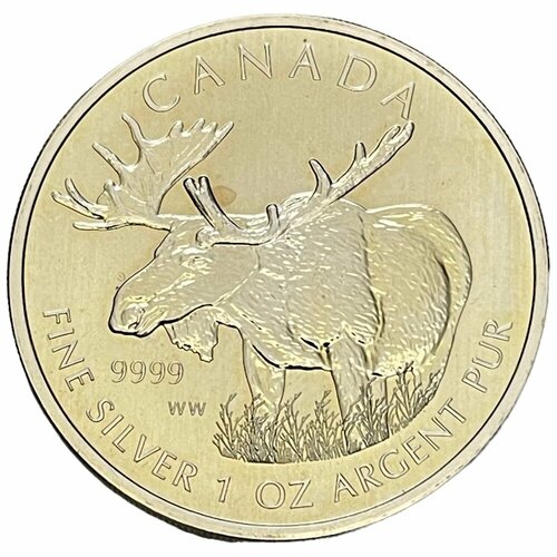 Канада 5 долларов 2012 г. (Канадская Фауна - Лось) клуб нумизмат монета 5 долларов канады 2012 года серебро елизавета ii
