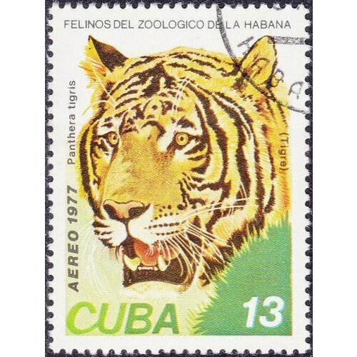 (1977-073) Марка Куба Тигр Зоопарк в Гаване III Θ 1975 033 марка куба портрет дамы музей в гаване ii θ