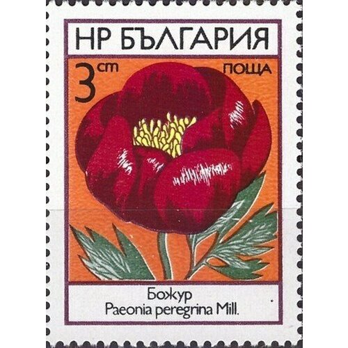 (1973-027) Марка Болгария Пион Полевые цветы III Θ 1973 029 марка монголия болгария конференция сэв iii θ