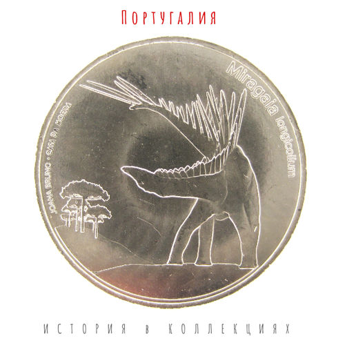 Португалия 5 евро 2023 Мирагая Лониколум из серии "Динозавры" UNC / коллекционная монета