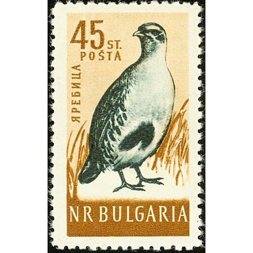 (1959-025) Марка Болгария Куропатка серая Птицы I Θ 1959 025 марка болгария куропатка серая птицы iii θ
