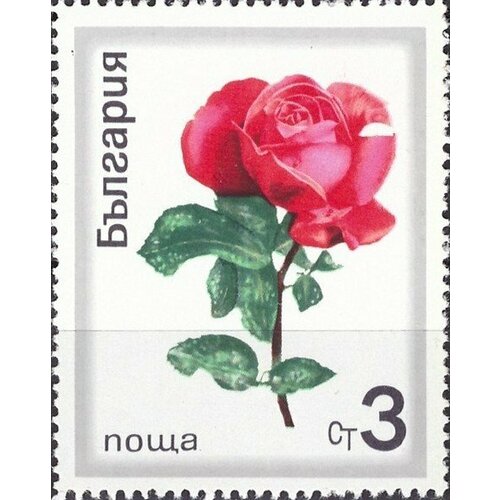 (1970-030) Марка Болгария Розовая роза Розы II Θ 1970 033 марка болгария роза с бутонами розы i θ
